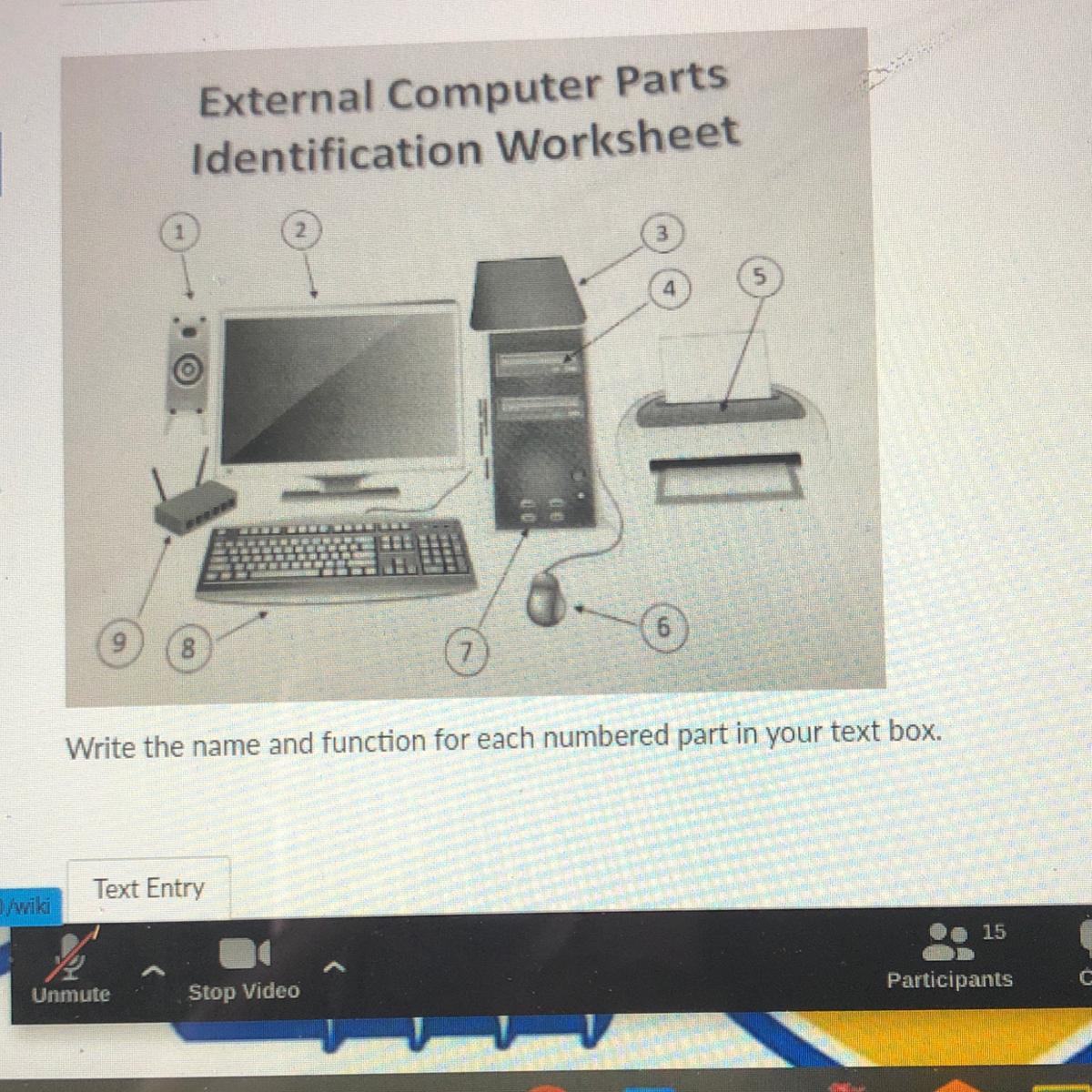 and their functions pls brainly com