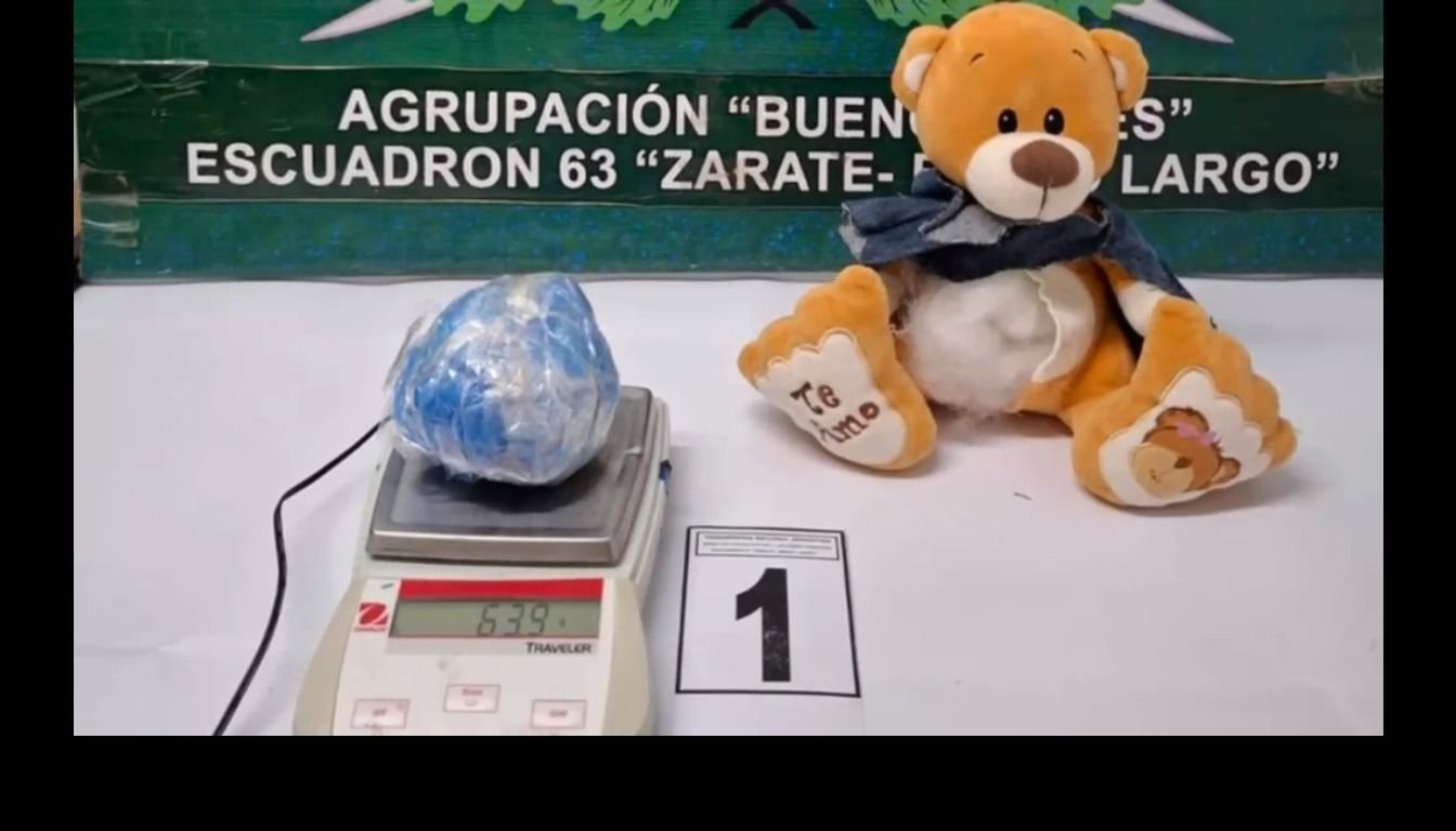 Enviaron marihuana desde Jujuy dentro de un oso de peluche