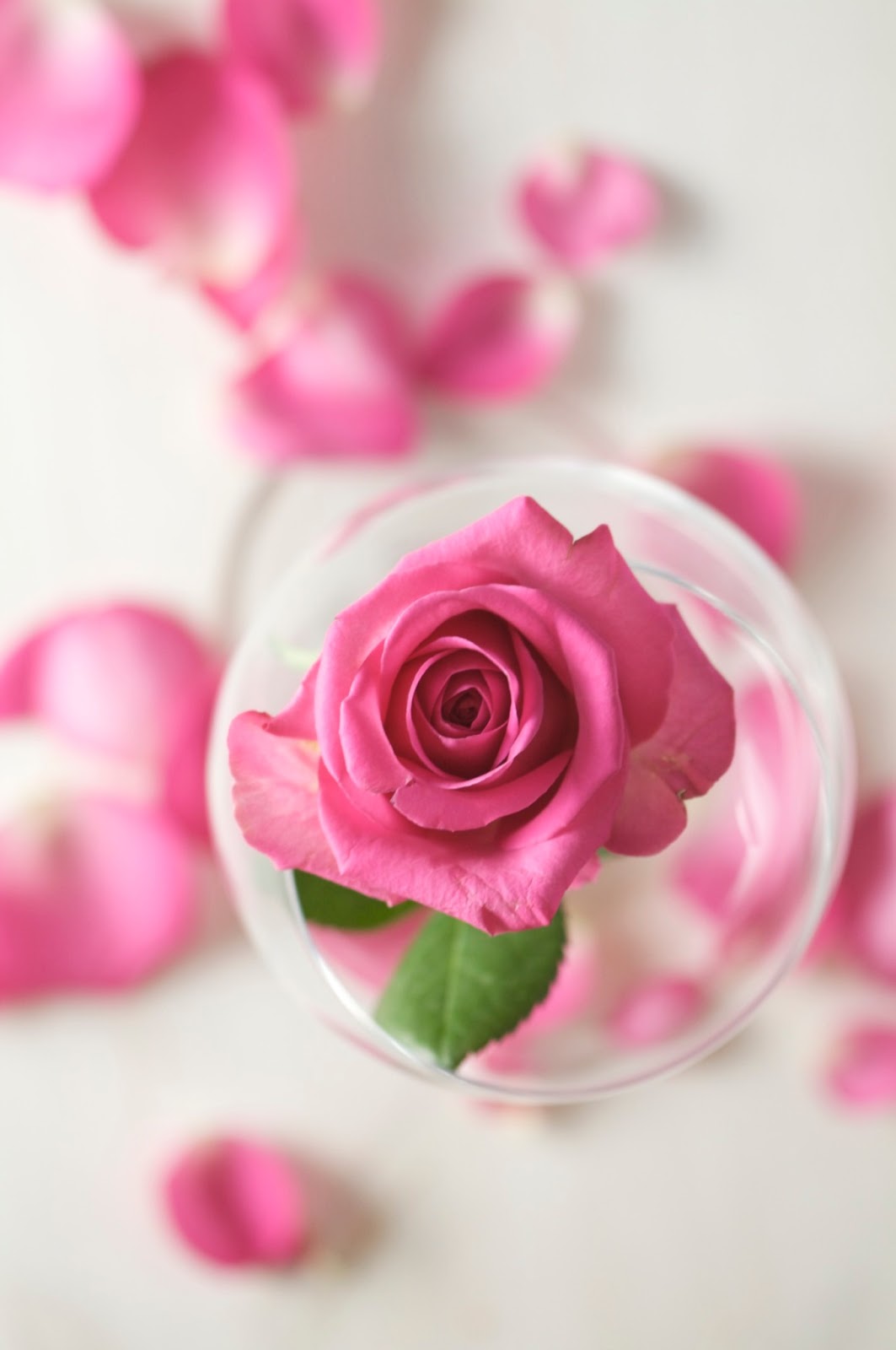 How To Make Your Own Rose Water To Refresh Your Skin