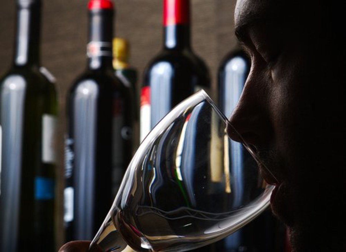 What i want to talk about here, however, is fermenting your own sparkling drink. 11 of the Best Fruity, Sweet-Tasting Wines Under $20