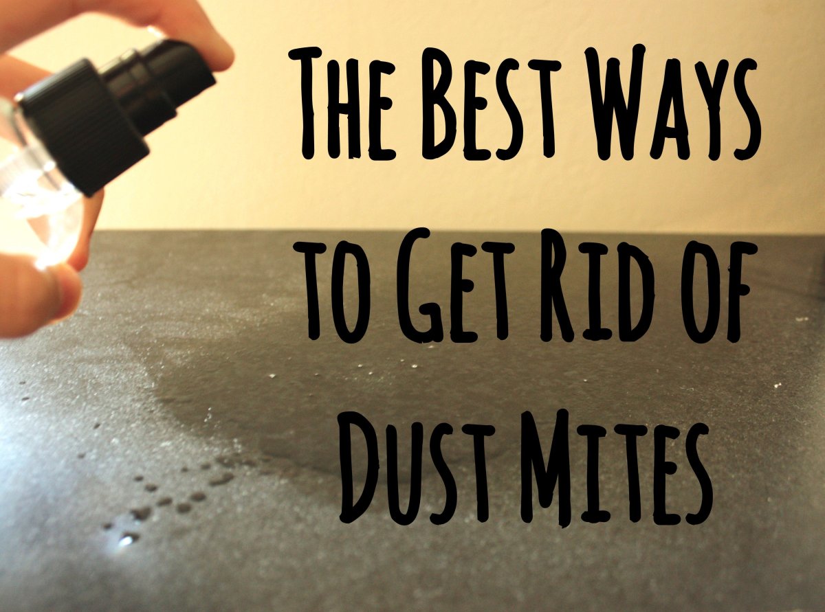 This material must not be used for commercial purposes, or in any hospital or medical facility. 12 Guaranteed Ways to Get Rid of Dust Mites in Your House