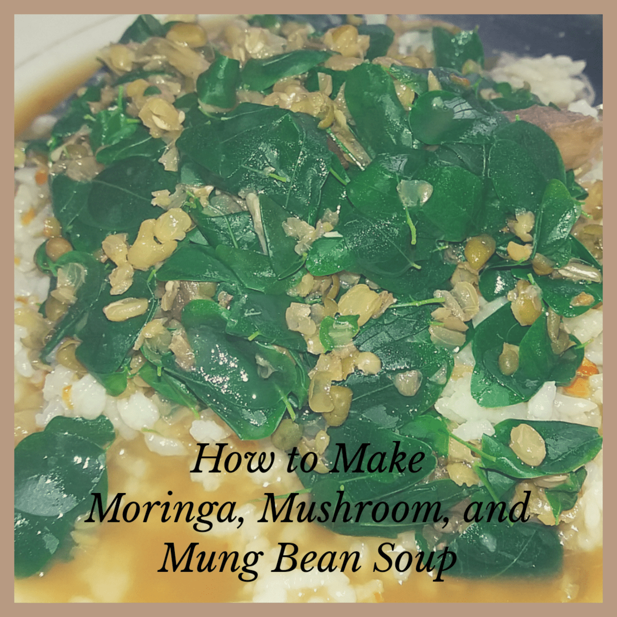When the soup boils, count two minutes then turn off the heat. How To Make Moringa Mushroom And Mung Bean Soup Hubpages