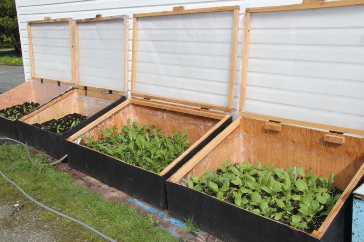 The ideal location for a cold frame is a southern or southeastern exposure with a slight slope to ensure maximum solar absorption and good drainage. How to Build Cold Frames for Your Garden | Dengarden