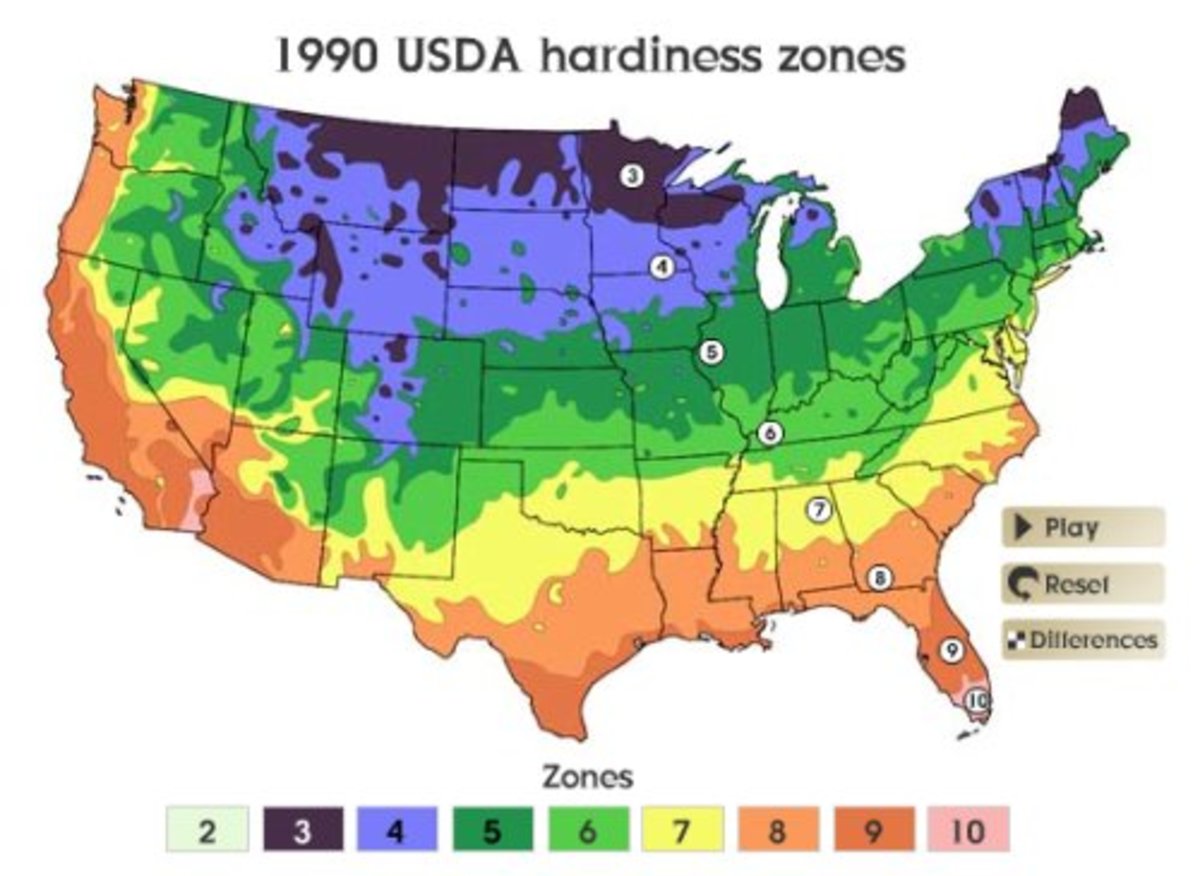 Where there's smoke there's carlie9:30 am, the science zone. USDA Zone 5 Gardening | HubPages