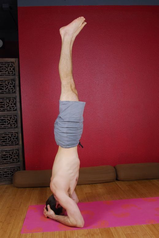 Nov 02, 2021 · get the latest health news, diet & fitness information, medical research, health care trends and health issues that affect you and your family on abcnews.com Inspirational Yoga Themes and Quotes | HubPages