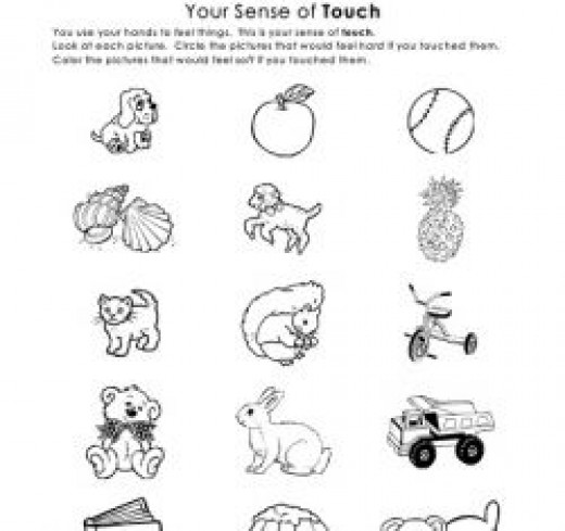 teaching sense of touch the five senses hubpages