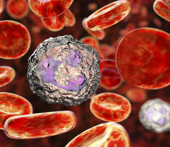 Singulair Servicio De Mdico Online Farmacia Online Singulair Servicio De Mdico Online Farmacia Online