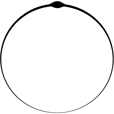 Especialistas En Diseno En Monterrey Diseno Grafico Arquitectura Moda Alta Costura Y Construccion Valverde Design House