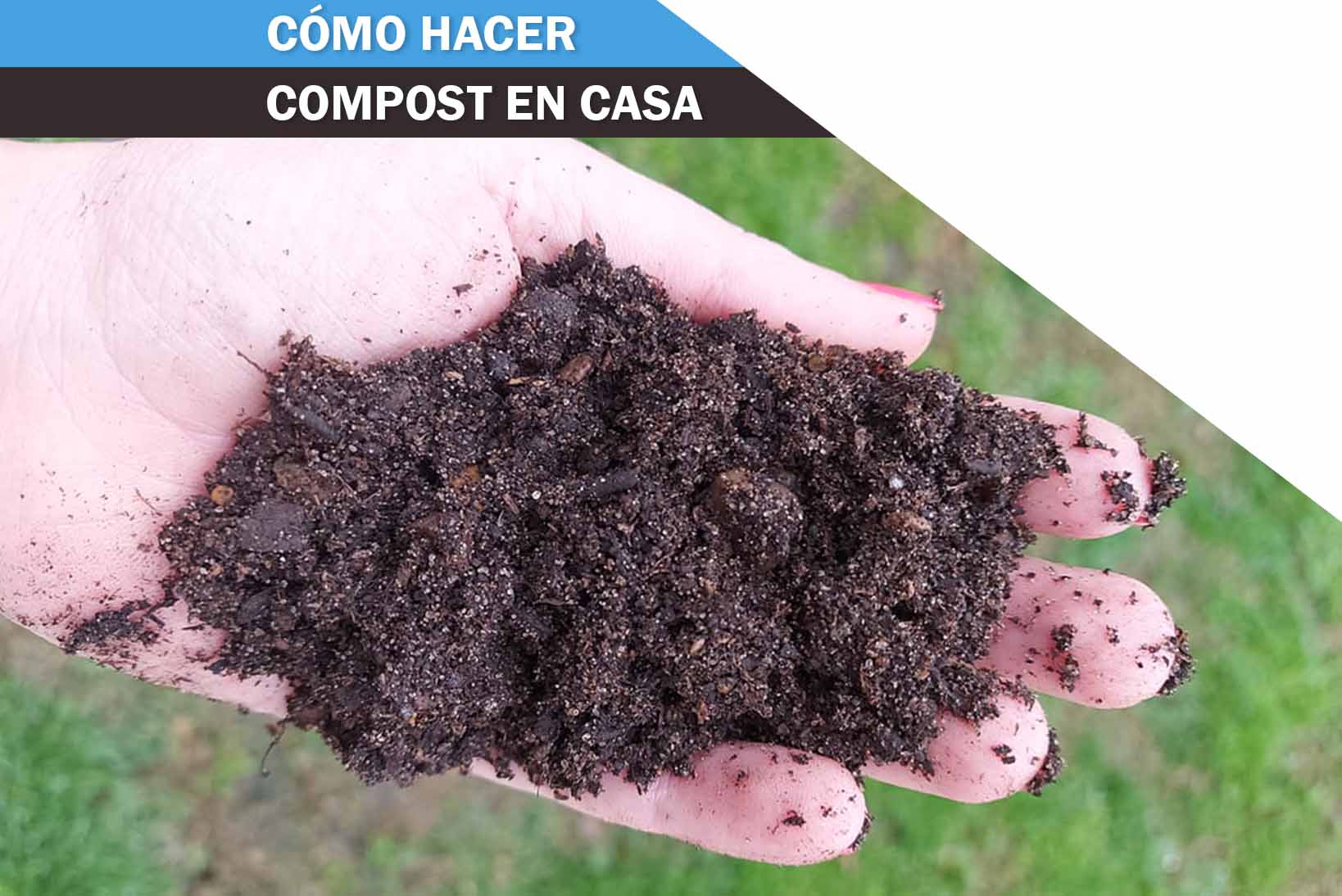 Para iniciar con el compostaje se debe recolectar toda la materia orgánica que se genera en el hogar como cáscaras . Como Hacer Compost En Casa En 6 Pasos Rapido Y Facil