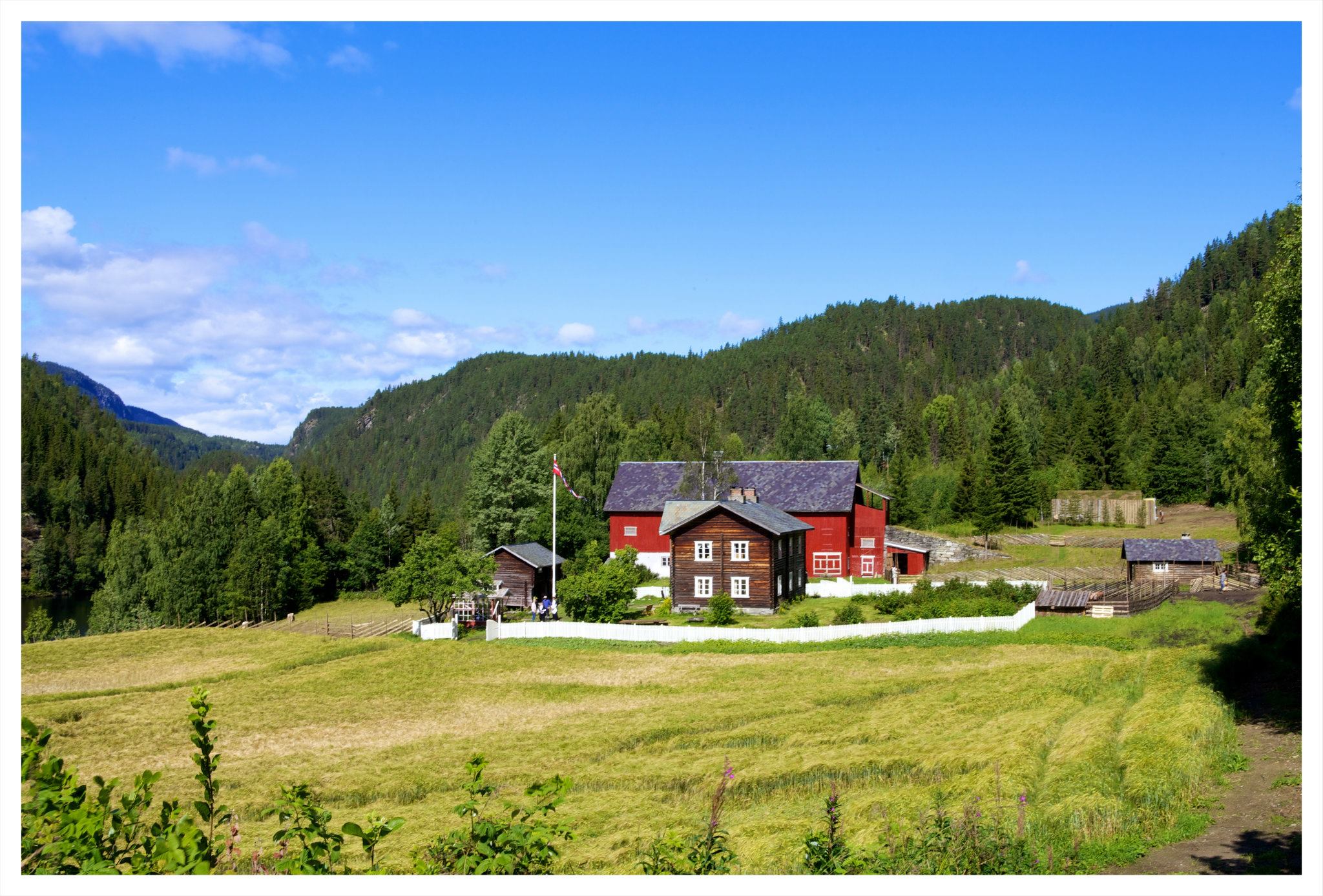 Amerikansk fotball utstyr og nfl klær fra norge ✓ norges største utvalg ✓ stort utvalg av hjelmer, shoulderpads og mye mer ✓ kjøp din fotball utstyr her. Video- Farmen 2012 blir den mest dramatiske noensinne