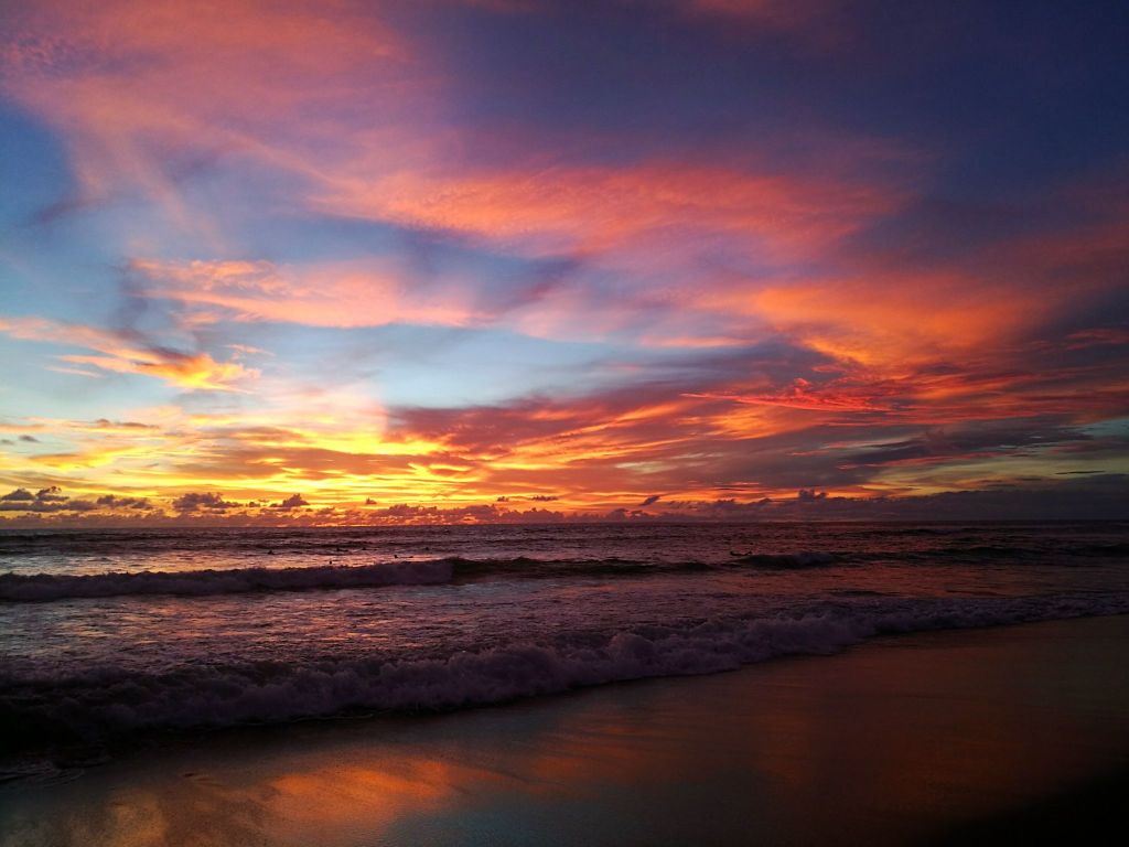 Vegan Food in Canggu The Top 4 Spots You Shouldn’t Miss