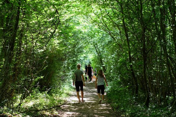 Les Sentiers Verts  - Sentier Vert N° 1 :