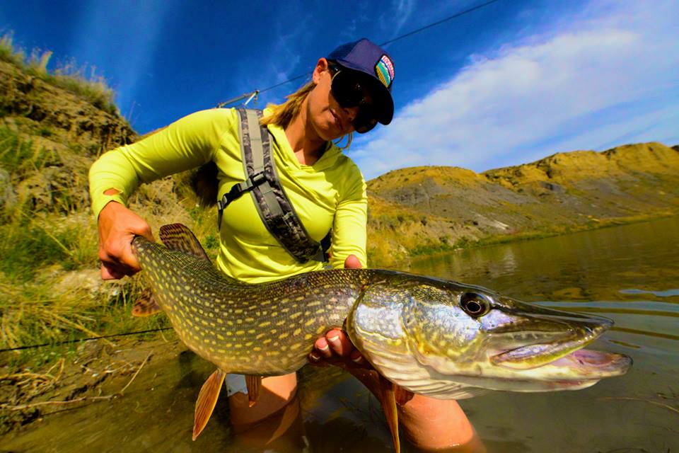 Photo Awesome Pike on the Fly from Faceless Fly Fishing Media The