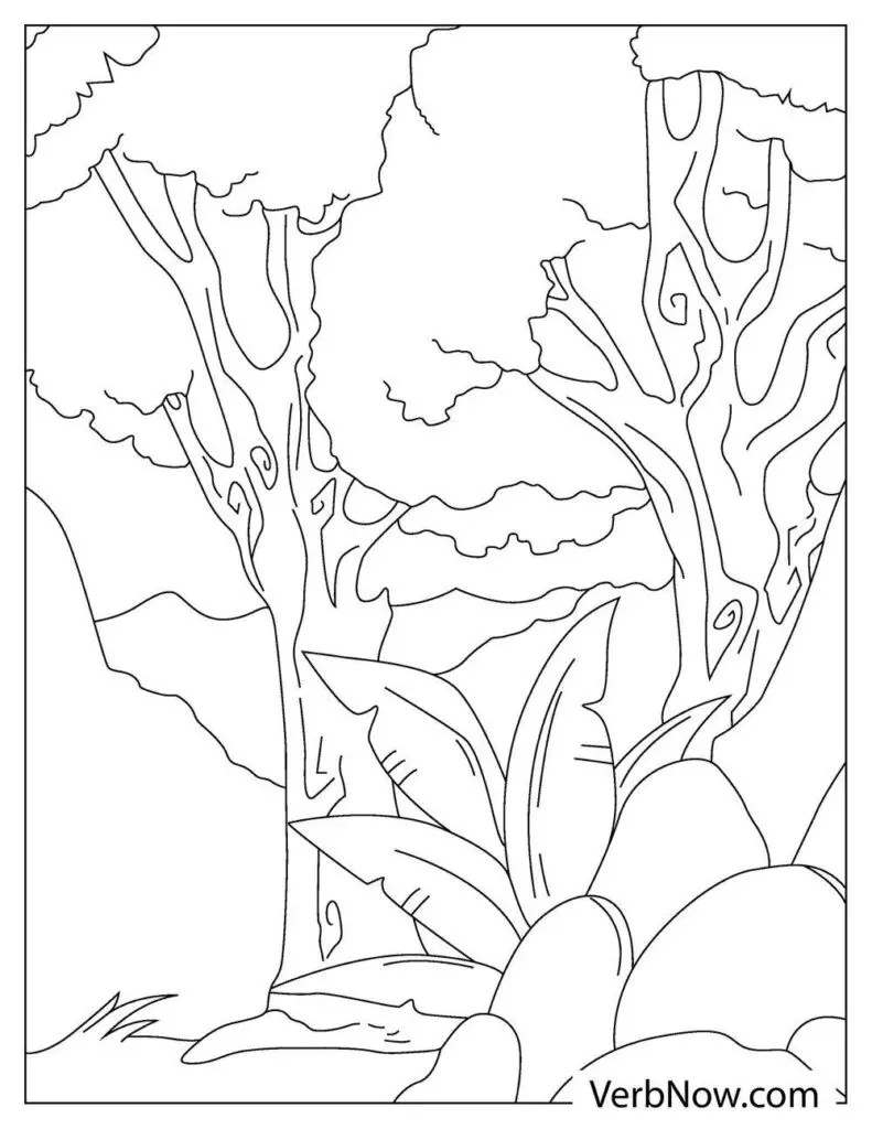 free jungle coloring pages book for download printable pdf verbnow