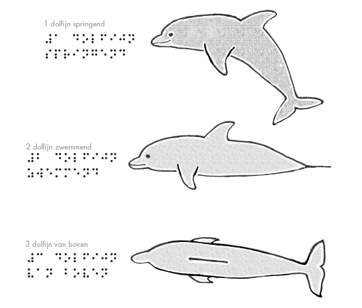 Het Belang Van Aanzichten Project Ver Ken Je Wereld