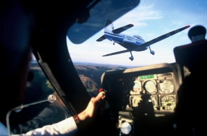 Ces centres ne doivent avoir aucun lien avec des concessionnaires automobiles ou des garages automobiles, . on n'est pas tout seul