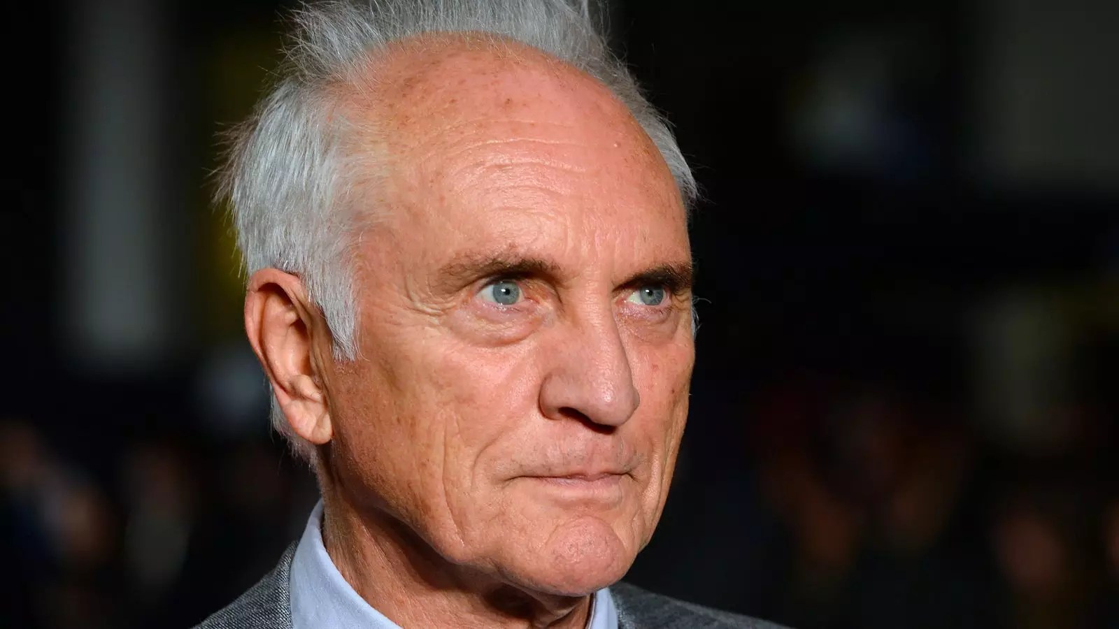 The Tragic End of a Legendary Actor: A Reflection on Terence Stamp’s Enduring Legacy