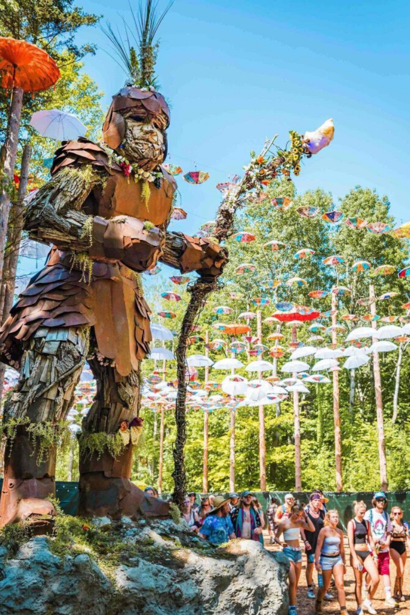 Guide to Camping in GA at Electric Forest Vibe With Ade