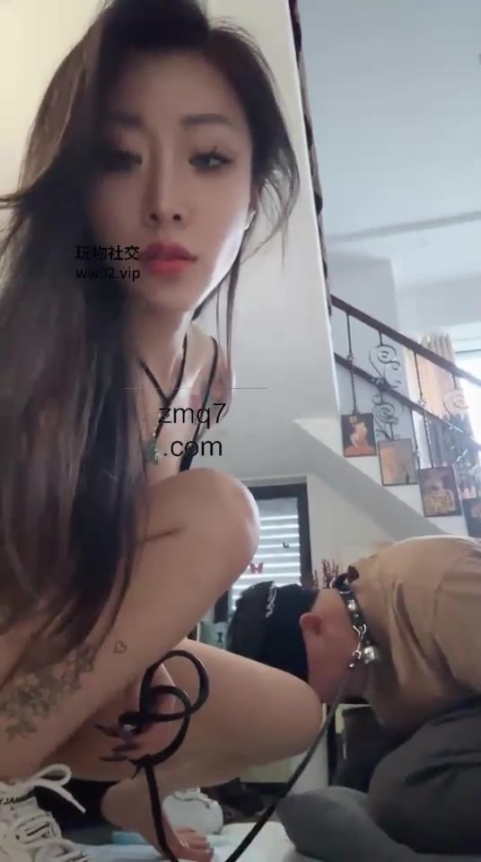 莫吉托 你的狗嘴是主人的脚盆