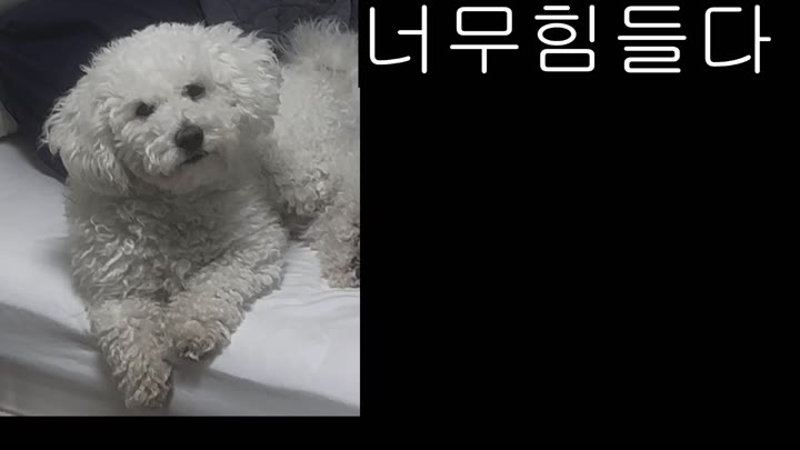 #bmg3207 bmg3207_20260105_0950 @kbjba