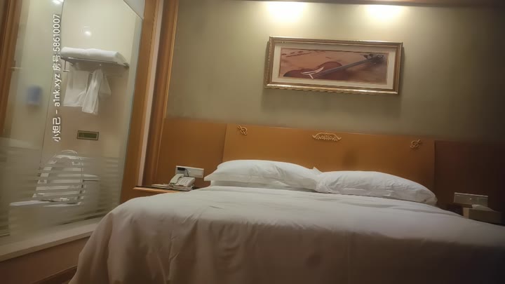 【#文轩探花】长发圆脸少妇，镜头前跪地口交，床边啪啪肥臀冲击感十足