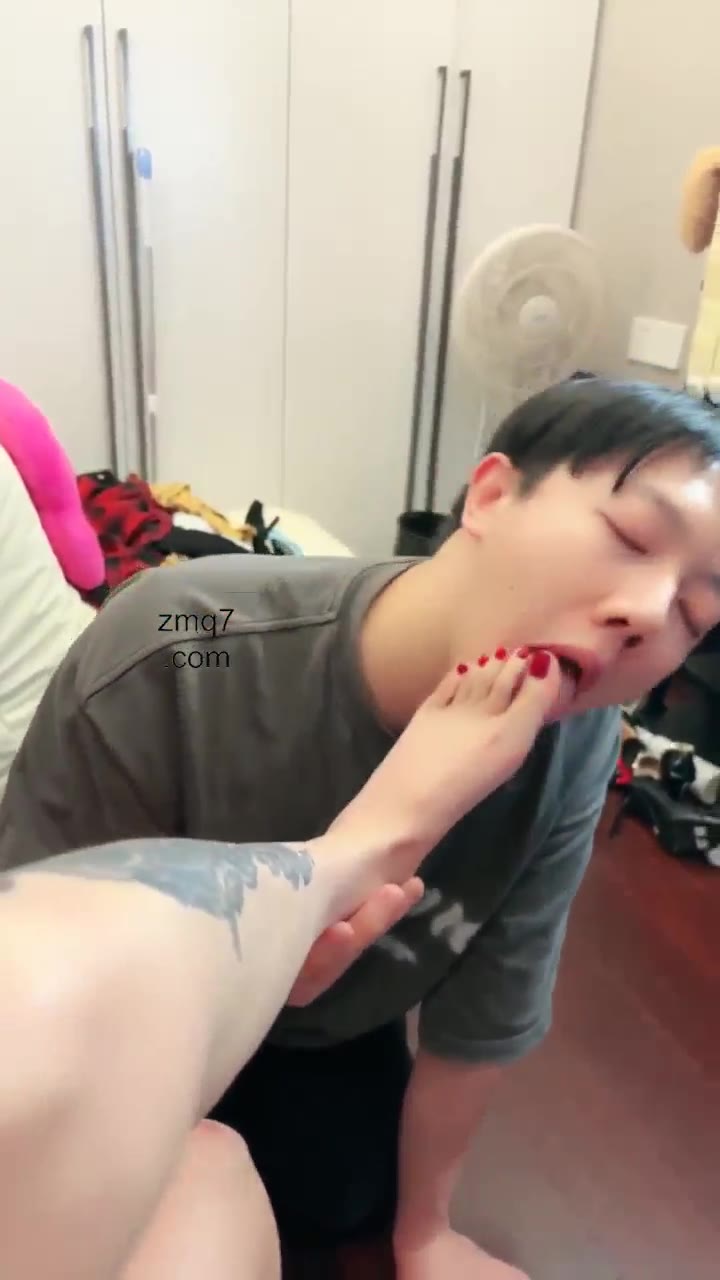 莫妮卡 开发学生狗