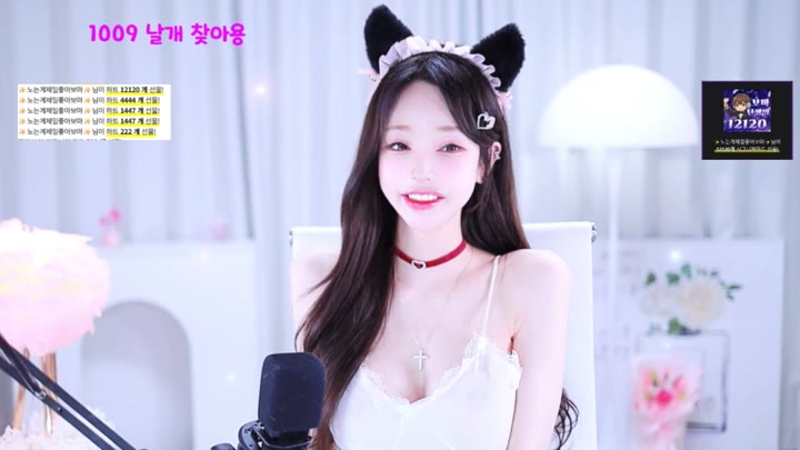 #cherrybest cherrybest_20260510_0240 @kbjba