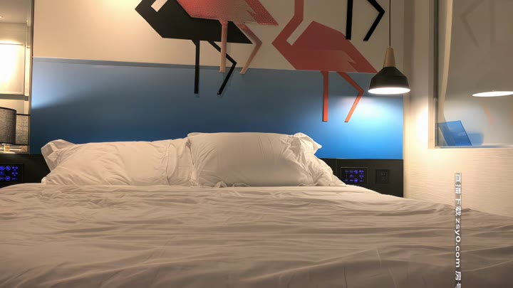 【#小宝寻花】约了个性感包臀裙妹子 架着脚侧入狂干，呻吟娇喘