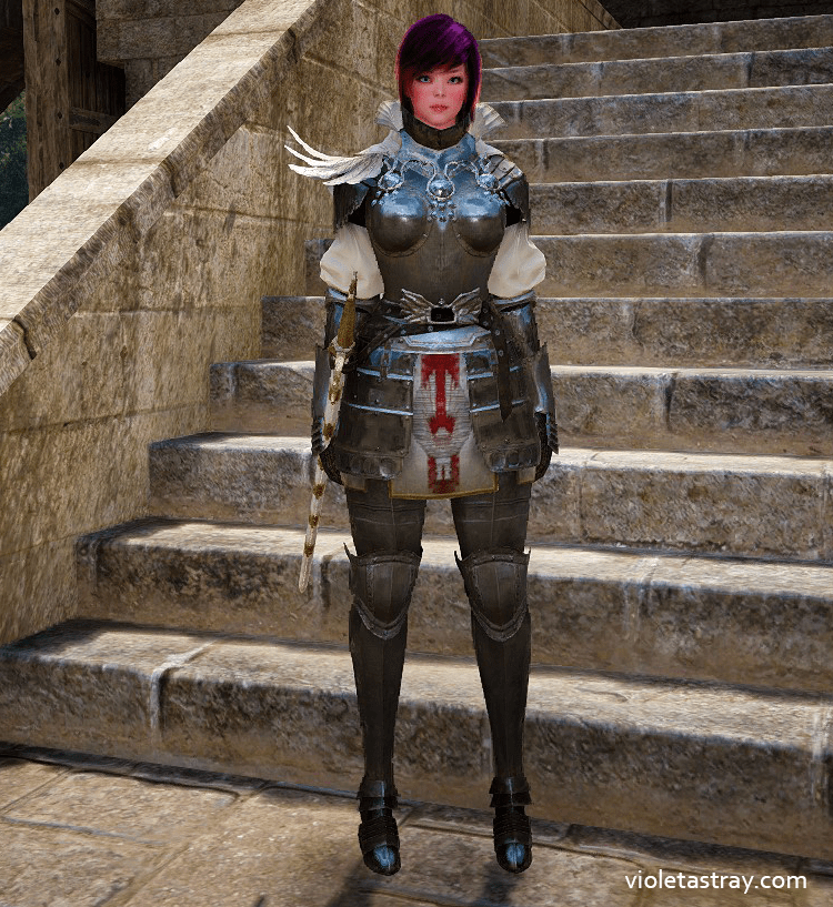 BDO Costumes You Can Craft InGame! Violet Astray
