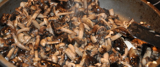 Толстеют ли от грибов маринованных. Можно ли поправиться от грибов