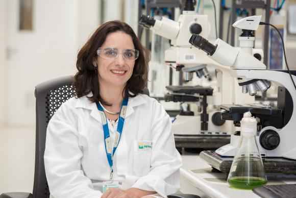 biodiesel de microalgas