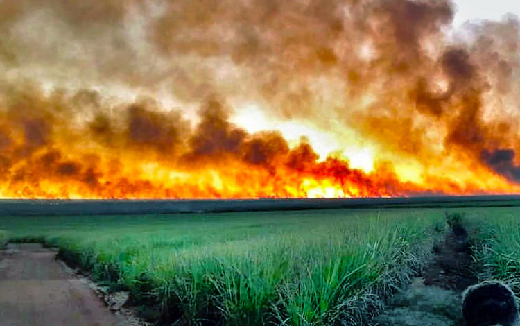 incêndios,incêndio canaviais,usina alta mogiana,Usina Colorado,Usina Açucareira Guaíra