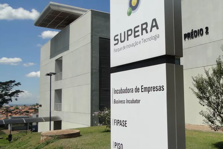 doação de medula óssea,rafael ceribelli