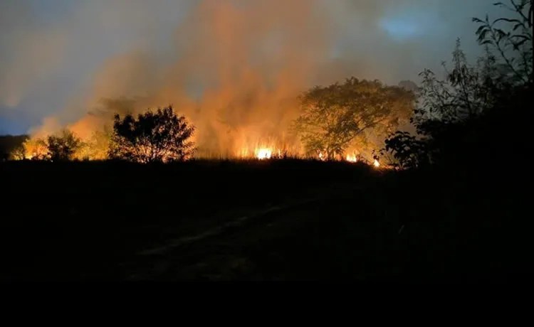 incendio rodovia