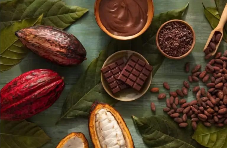 melhores chocolates do mundo