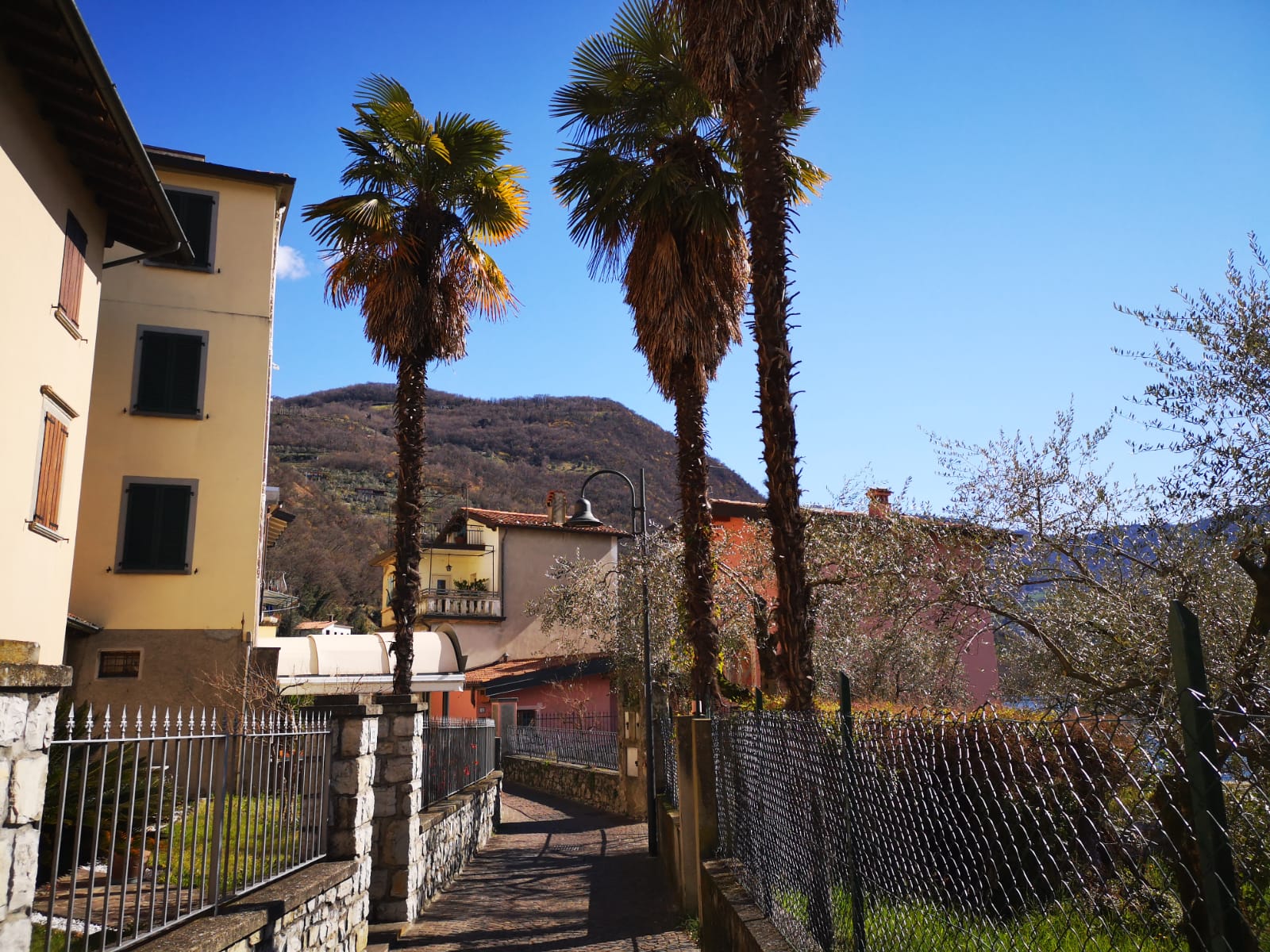 Tour of Monte Isola by bike - Visit Lake Iseo Portale Ufficiale turismo  Lago d’Iseo