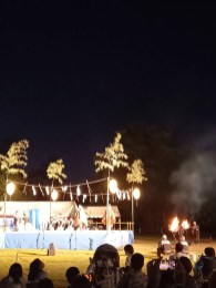 IMG_3162 IMG_3162