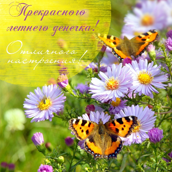 хорошего летнего дня картинки рисованные