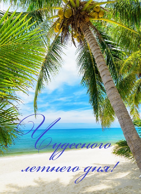 хорошего летнего дня картинки рисованные