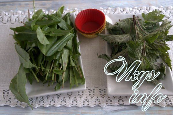 1464782849 101 можно ли использовать замороженный щавель