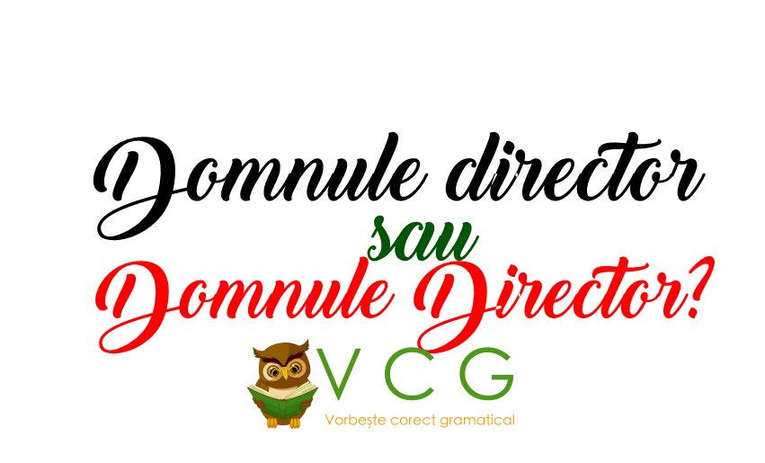 Astfel, nu trebuie spus în nici un caz: Domnule Director Sau Domnule Director VorbeÈte Corect Gramatical Vcg