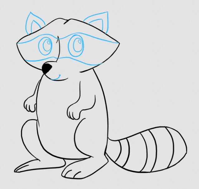 как нарисовать енота карандашом поэтапно для начинающих