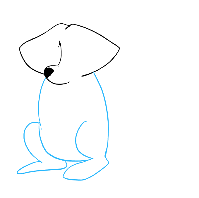 как нарисовать енота карандашом поэтапно для начинающих