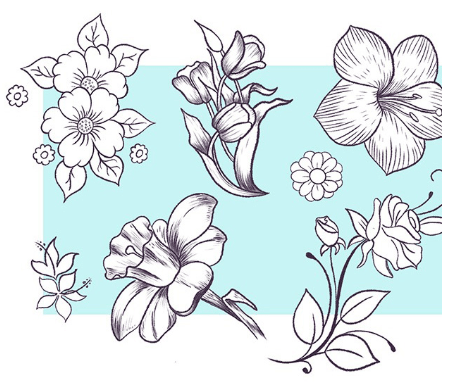 как рисовать на графическом планшете wacom