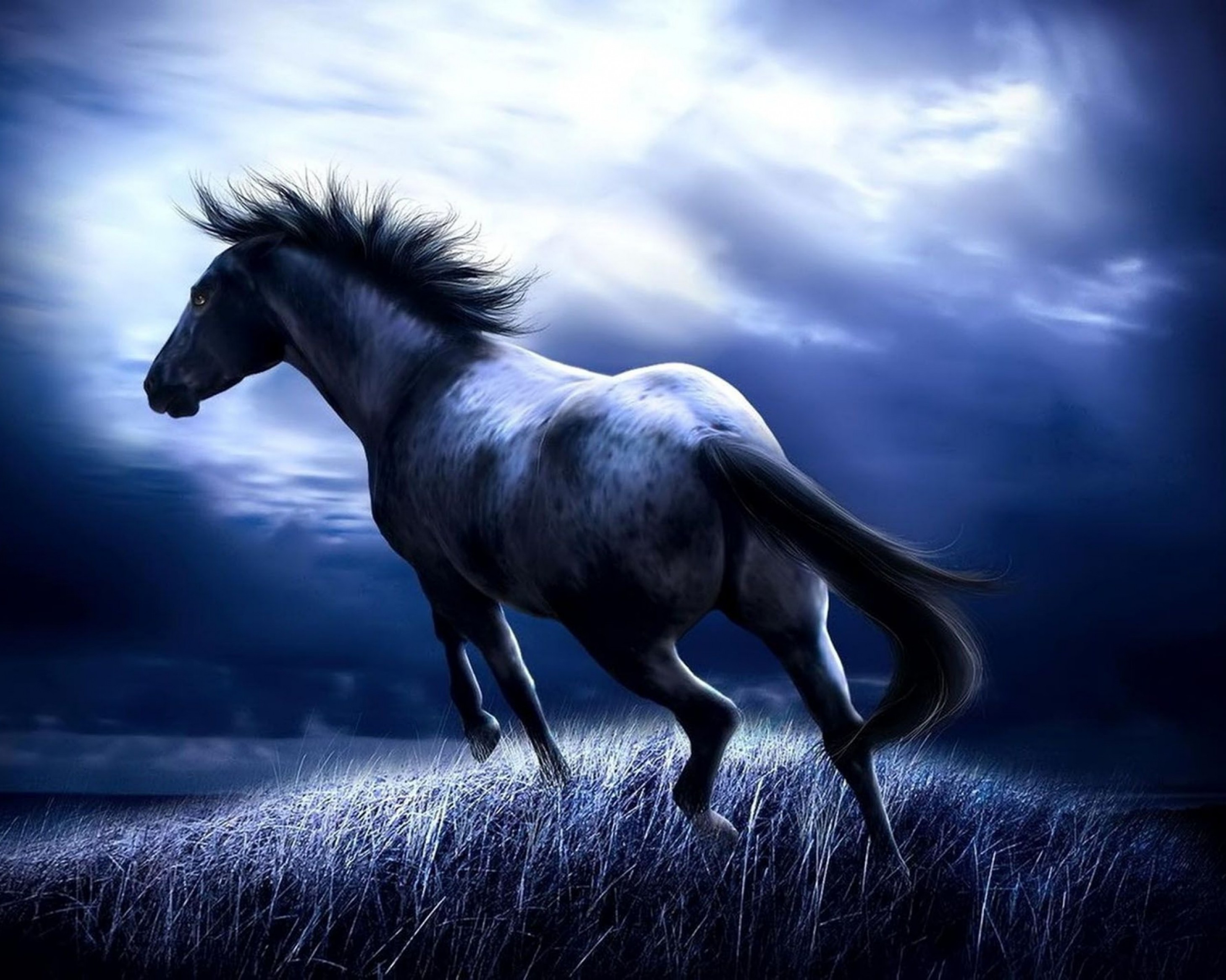 Search free tablet wallpapers on zedge and personalize your phone to suit you. Hd Wallpapers For Tablets Free Download 1