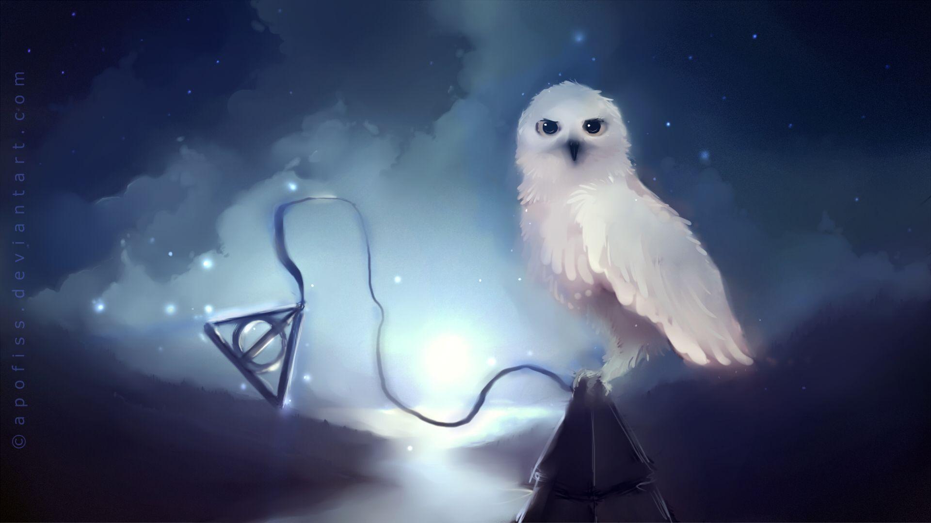 Harry Potter Owl Wallpapers Top Free Harry Potter Owl Backgrounds Wallpaperaccess