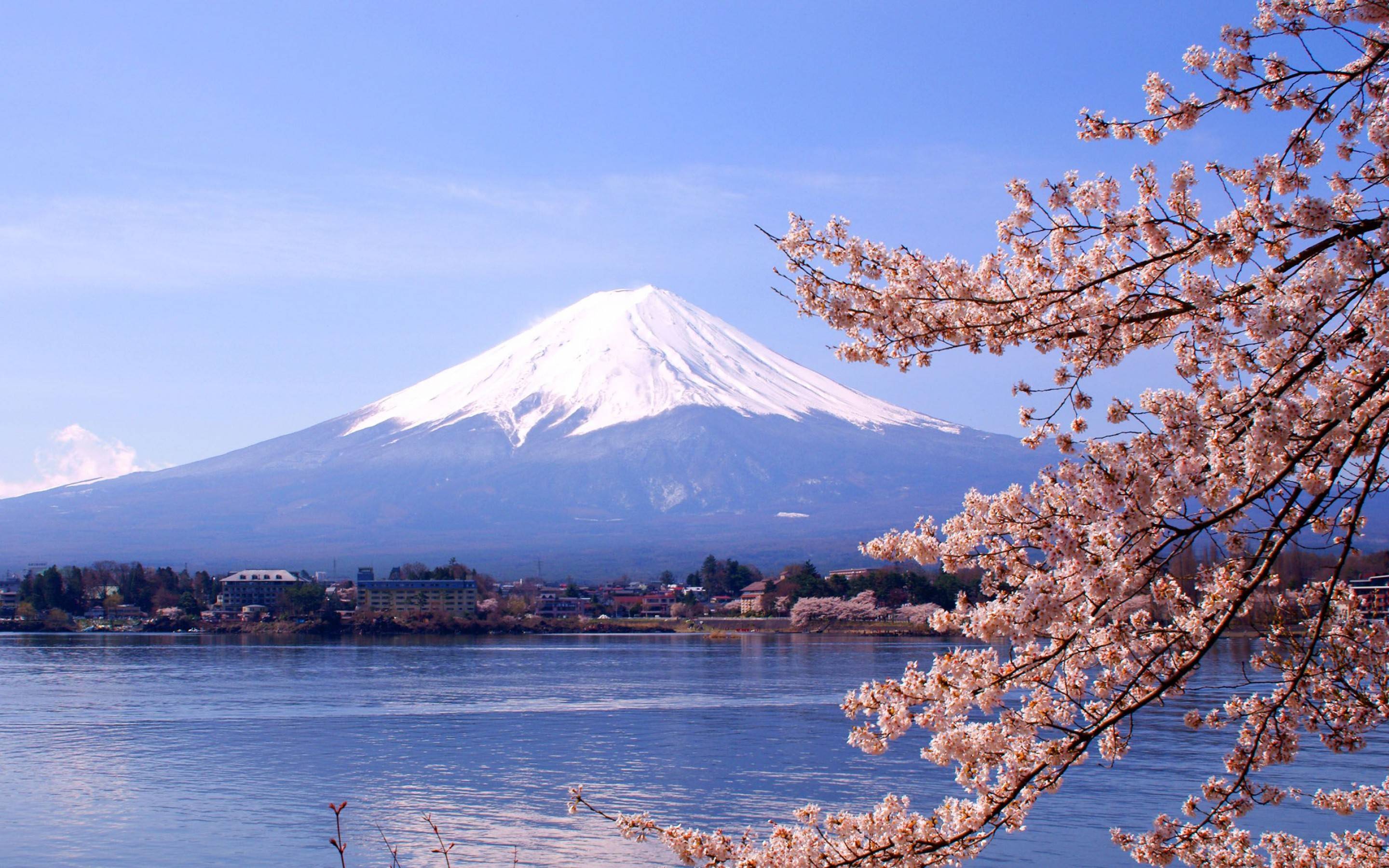 Mount Fuji Hd Wallpapers - Top Free Mount Fuji Hd Backgrounds - Wallpaperaccess 1800_X_2880_jpg
