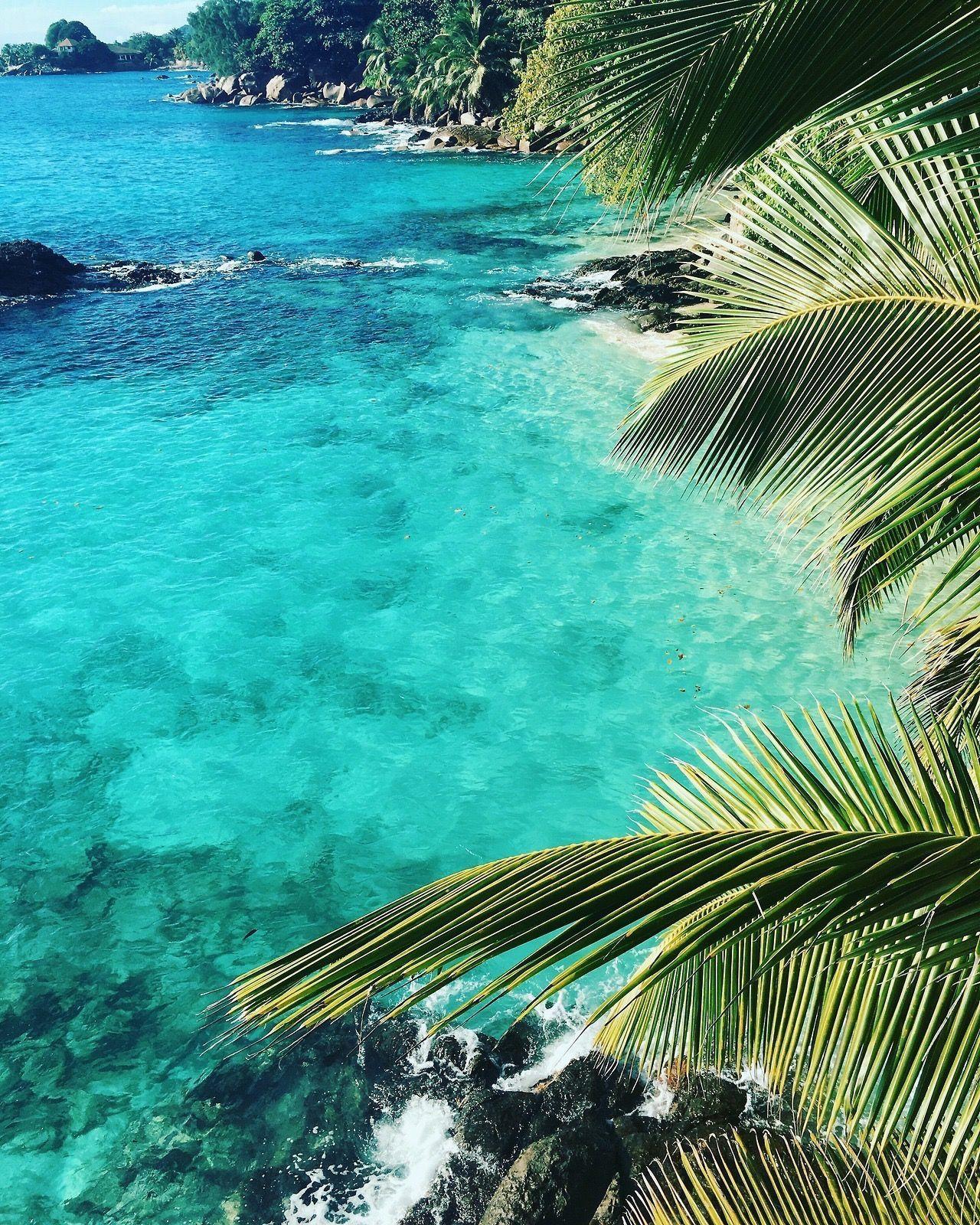 Tumblr Tropical Aesthetic Beach Wallpapers - Novocom.top