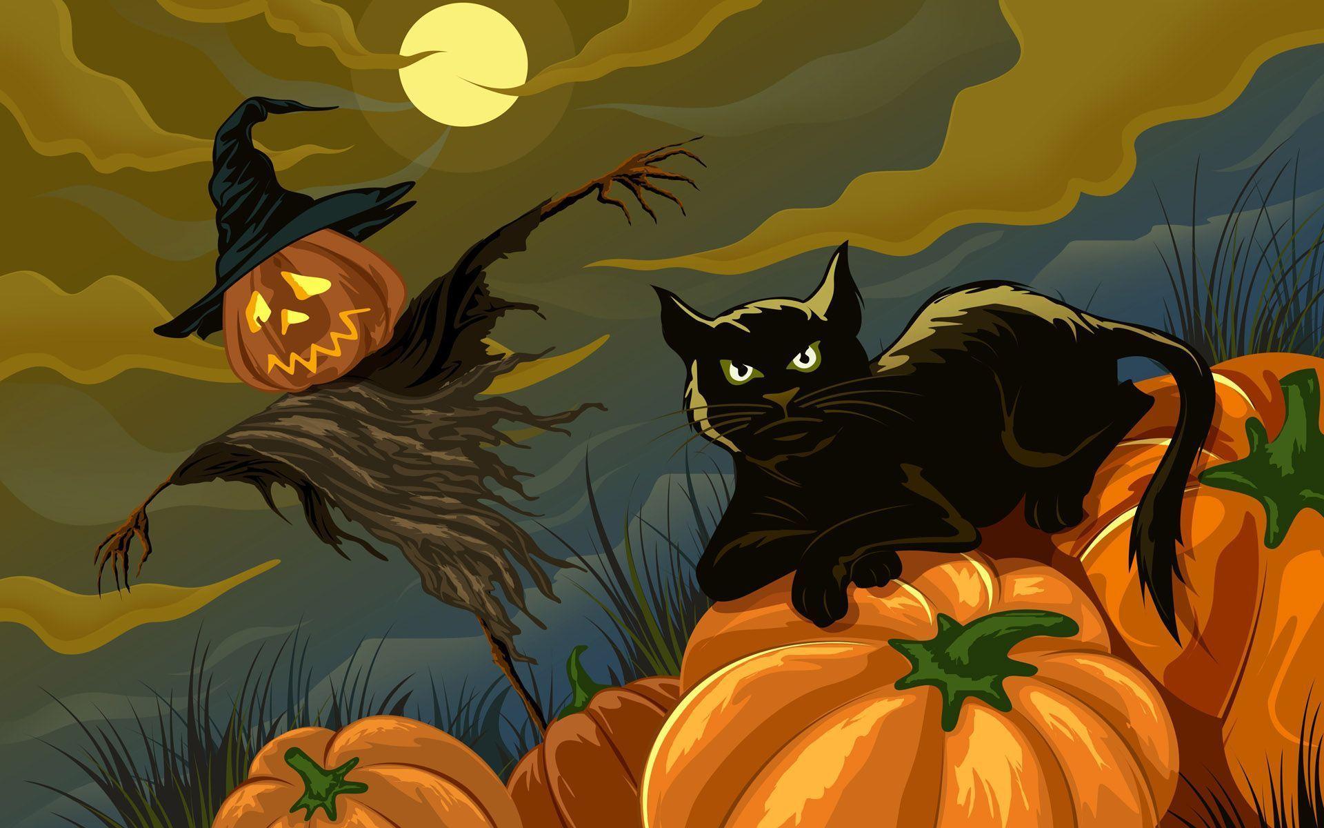 Halloween halloween live cat cute cat pc 1920x1080. Cartoon Halloween Cat Desktop Wallpapers Top Free Cartoon Halloween Cat Desktop Backgrounds Wallpaperaccess