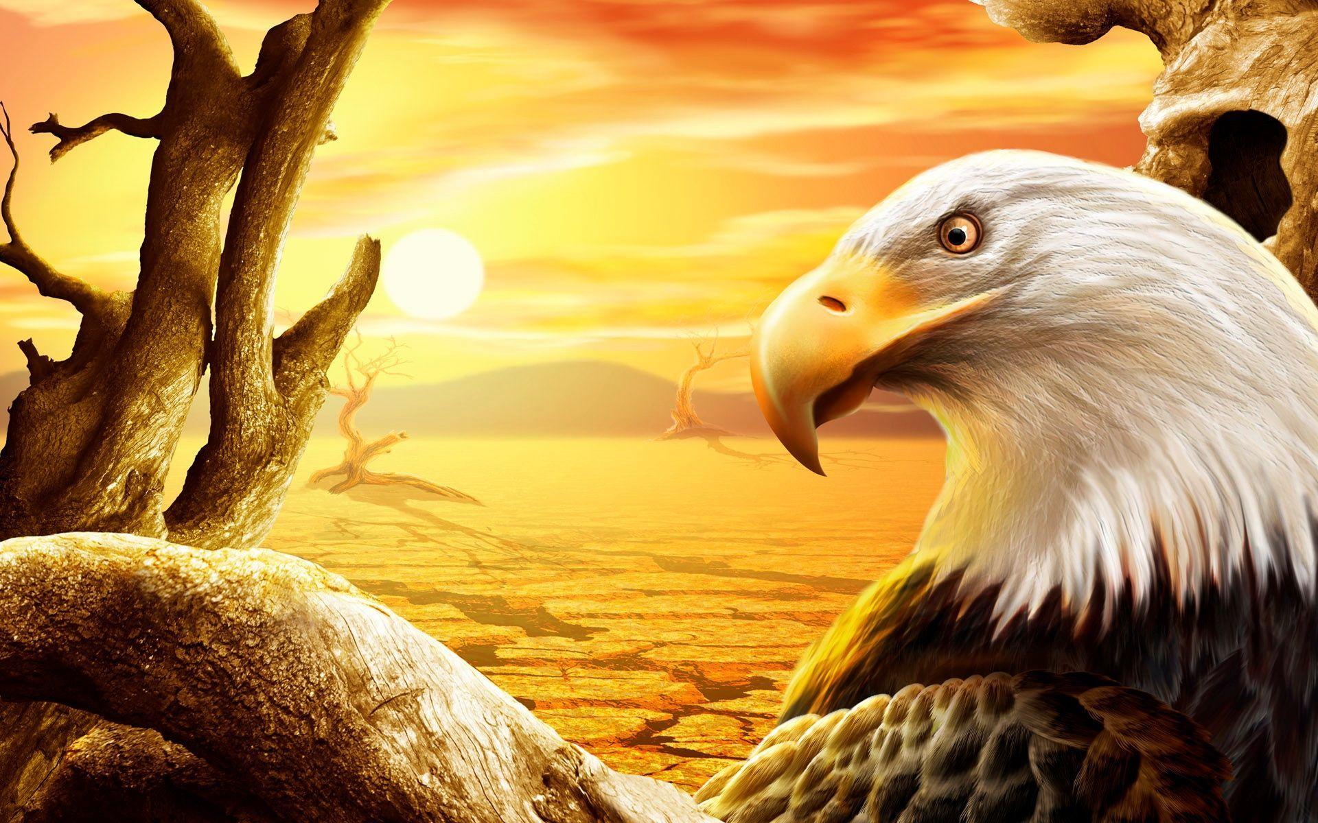 Tons of awesome philadelphia eagles wallpapers free to download for free. Biker And Eagle Wallpapers Top Free Biker And Eagle Backgrounds Wallpaperaccess